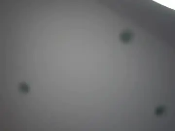 Chaturbate Sex Chat of danielkraig_for_u