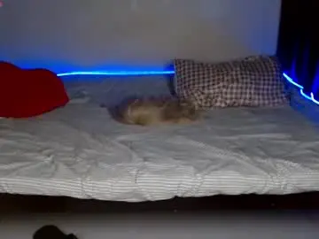 Chaturbate Sex Chat of xfreyalibitina69x