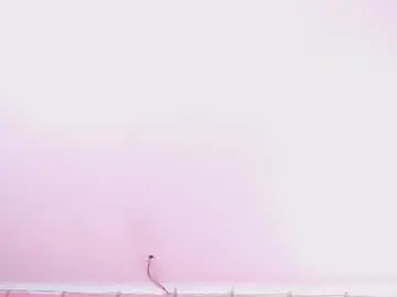 Chaturbate Sex Cam of iris_joi