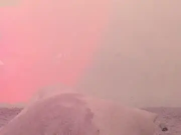 Chaturbate Live Sex Cam of iris_joi