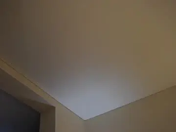 Chaturbate Adult Webcam of _vi_vi_