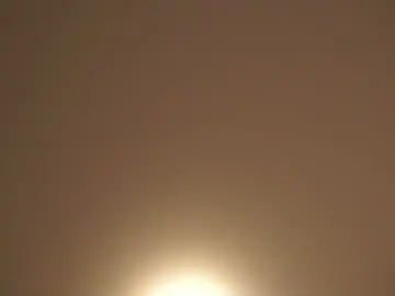 Chaturbate Adult Video Chat of _vi_vi_