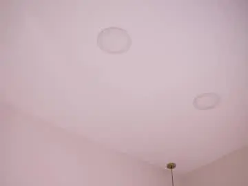 Chaturbate Free Live Porn of abby_me