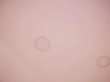 Chaturbate Live Porn of abby_me