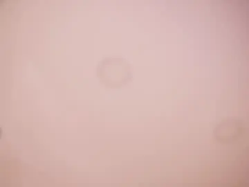 Chaturbate Sex Chat of abby_me