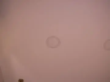 Chaturbate Live Porn of abby_me
