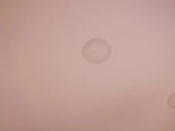 Chaturbate Sex Cam of abby_me