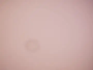 Chaturbate Watch Live Sex Cams of abby_me