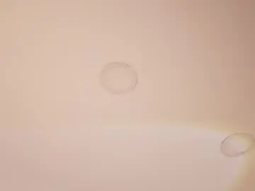 Chaturbate Private Sex Chat of abby_me