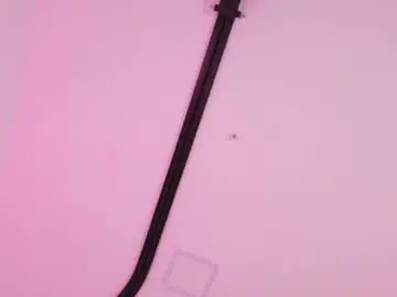 Chaturbate Sex Cam of malaia_thompson_