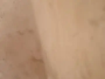 Chaturbate Adult Video Chat of shadowpawofficial