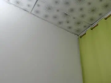 Chaturbate Best Webcam of haresandpame_mds