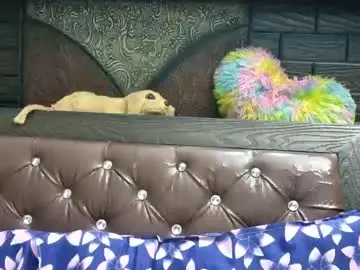 Chaturbate Watch Live Sex Cams of dollmeenu