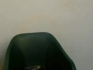 Chaturbate Private Sex Chat of fariha_babyy