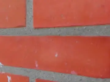 Chaturbate Live Sex Cam of baby_doll_xoxo