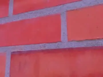 Chaturbate Adult Webcam of baby_doll_xoxo