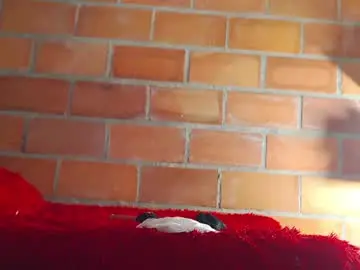Chaturbate Adult Webcam of k_stormi_