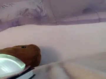 Chaturbate Live Porn of oh_pichuu