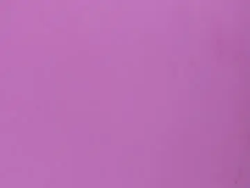 Chaturbate Best Webcam of alahiaevanss