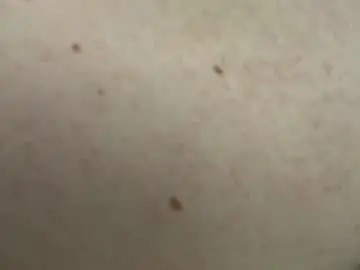 Chaturbate Live Sex of dylanvalentine