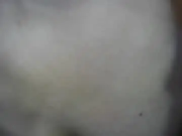 Chaturbate Sex Cam of keylasmmith