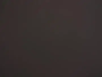 Chaturbate Adult Video Chat of zara_shine