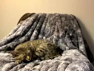 Chaturbate Live Sex Cam of hottiewithabody101