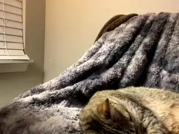 Chaturbate Best Webcam of hottiewithabody101