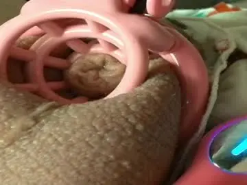 Chaturbate Free Porn Cam of frenulumsnap