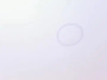 Chaturbate Free Porn Cam of annarosse3