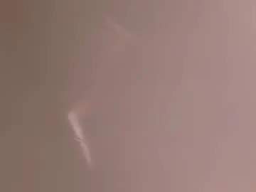 Chaturbate Live Sex Cam of maya_house