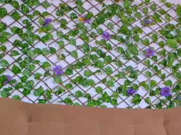 Chaturbate Sex Cam of taty_miller