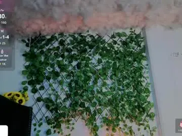 Chaturbate Adult Webcam of levi_ackermann1