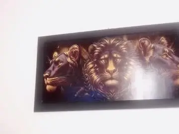 Chaturbate Adult Webcam of drake_brown_23