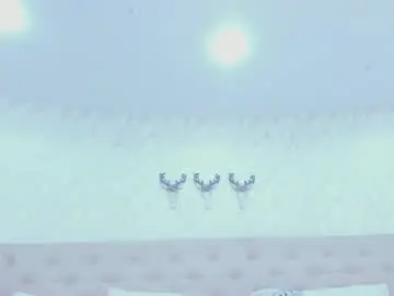 Chaturbate Best Webcam of ariarosse