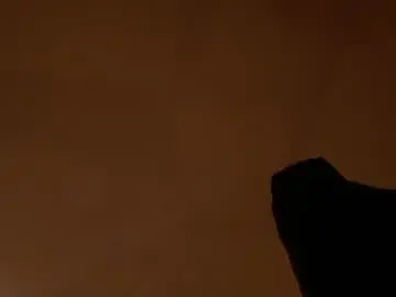 Chaturbate Watch Live Sex Cams of katia_moree