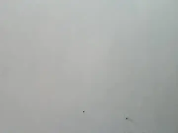 Chaturbate Live Sex Cam of hottiest_asian