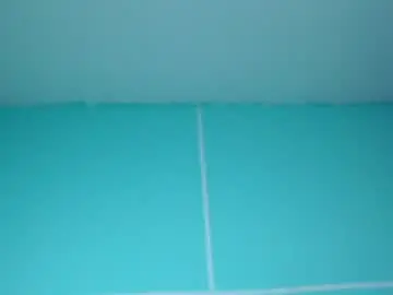 Chaturbate Live Sex of sexy_foxx_