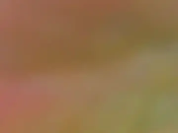 Chaturbate Nude Webcam of sharonrodrigueez