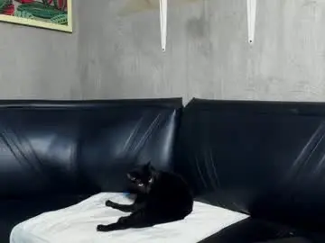 Chaturbate Live Porn of smitgrey