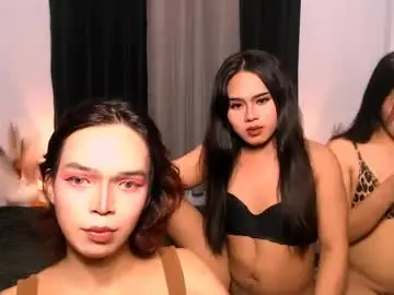 Chaturbate Sex Chat of amazingmeatycockts