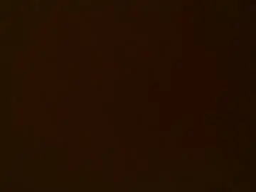 Chaturbate Sex Chat of rococo_basilisk