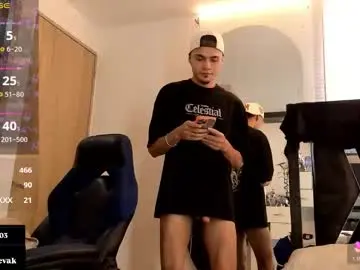 Chaturbate Free Porn Cam of ander_bisex
