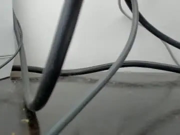 Chaturbate Live Sex of savagesweethearts