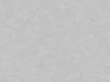 Chaturbate Live Sex of veronicamartin_