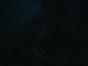 Chaturbate Free Porn Cam of queen_wow2