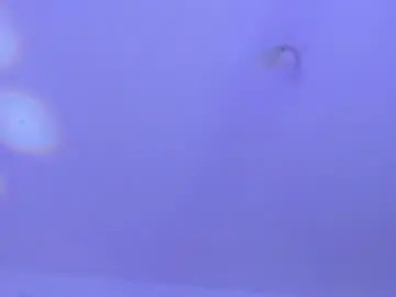 Chaturbate Adult Webcam of black_skull22