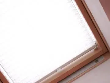 Chaturbate Best live sex cam show of charmainepenny
