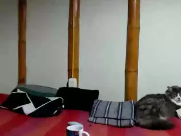 Chaturbate Adult Video Chat of miahells