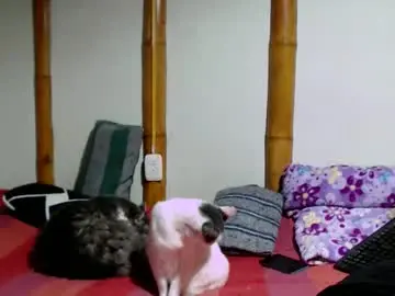 Chaturbate Live Porn of miahells